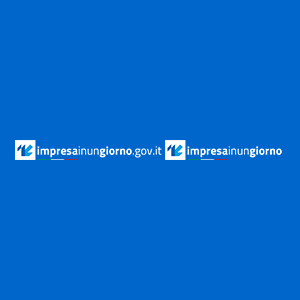 Impresa in un giorno